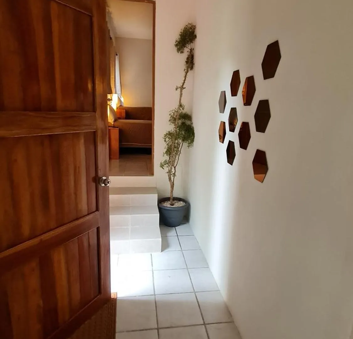 בית אירוח דירות בקאלאר Casa Ceiba Real מקסיקו